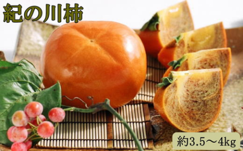 【希少】紀の川柿(種無し)約3.5～4kg・秀品｜柿 カキ フルーツ 果物 和歌山 先行予約 かき たねなし 国産 産地直送 美浜町 148906 - 和歌山県美浜町