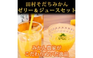 田村そだちみかんゼリー＆ジュースセット 148907 - 和歌山県美浜町