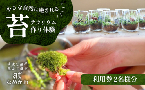 小さな自然に癒される【苔テラリウム作り体験】利用券 1489430 - 高知県本山町