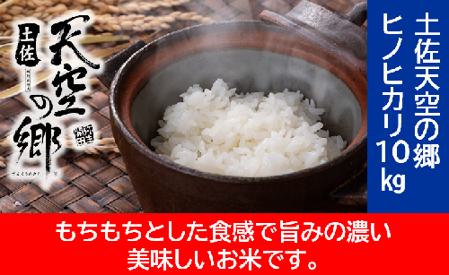 農林水産省の「つなぐ棚田遺産」に選ばれた棚田で育てられた棚田米　土佐天空の郷　ヒノヒカリ　10kg 1489443 - 高知県本山町