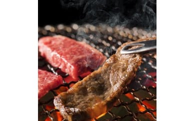 【和歌山県特産和牛】《熊野牛》 極上前バラ 焼肉用 約700g A4ランク以上【KO−12】 148960 - 和歌山県美浜町