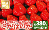 2691 [数量限定]鹿児島県産いちご「さがほのか」8〜15粒 ストロベリーハウス彩より直送[期間限定][いちご イチゴ 苺 さがほのか 国産 贈答 プレゼント 果物 フルーツ]