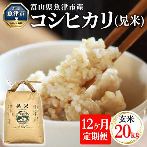 【12ヶ月定期便】【令和6年度米】「魚津のコシヒカリ（晃米）」20kg（玄米） ｜ 環境配慮 MK農産 お米 ブランド米 銘柄米 玄米 ご飯 おにぎり 産地直送 甘み 旨味 香り ※2024年9月中旬頃より順次発送 ※北海道・沖縄・離島への配送不可 1490692 - 富山県魚津市