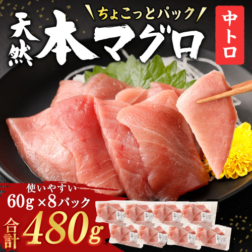 【お刺身ちょこっとパック】 天然本まぐろ 中トロ 切落し 480g 60g×8パック お手軽 食べきりサイズ 切り落とし お刺身 魚介類 海鮮 小分け 魚 天然まぐろ 魚貝 マグロ 高知県 簡単解凍 簡単調理 惣菜 コロナ支援 冷凍 1490881 - 高知県室戸市