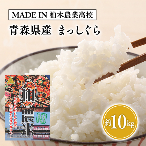 【MADE IN 柏木農業高校】11月中旬～発送 新米　令和6年産 まっしぐら 10kg 1491255 - 青森県平川市