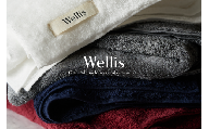 Wellis　フルセット　ランドリーバッグ付き　（009_5136）