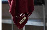 Wellis　フルセット ボルドー　ランドリーバッグ付き　（009_5136_04）