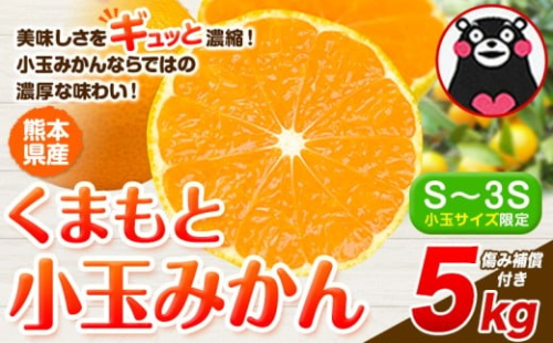 訳あり みかん 小玉みかん くまもと小玉みかん  5kg 秋 旬 不揃い 傷 ご家庭用 SDGs 小玉 たっぷり 熊本県 産 S-3Sサイズ フルーツ 旬 柑橘 熊本県産 温州みかん《1月中旬-2月中旬頃出荷》