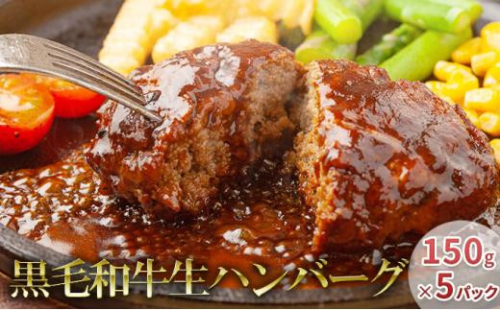 ※受付終了※大和食品 バター香る 肉汁ジューシーな黒毛和牛 生ハンバーグ 150g×5パック 1491918 - 大阪府堺市