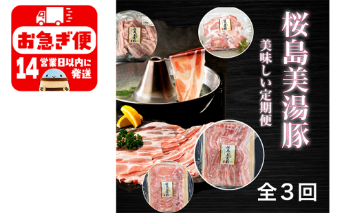 F6-0401／鹿児島県産桜島美湯豚　満腹セット　3回定期便 1491921 - 鹿児島県垂水市