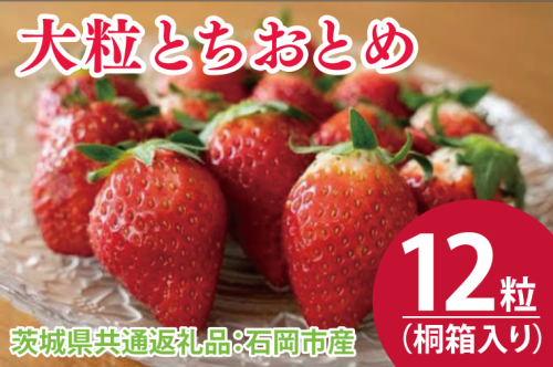 【先行予約】桐箱入り 大粒とちおとめ 12粒（茨城県共通返礼品：石岡市産）※2024年12月初旬～2025年3月下旬頃に順次発送予定（CD011） 1492109 - 茨城県大子町