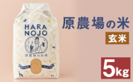 原農場の米 (玄米) 5kg お米 米 こめ コメ 玄米 ヒノヒカリ ひのひかり ごはん ご飯 熊本県産 国産