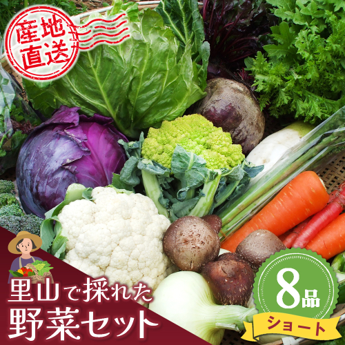 里山で採れた野菜セットショート 8品 【有機野菜 おまかせ野菜セット イタリア野菜 西洋野菜】(H078101) 149251 - 佐賀県神埼市