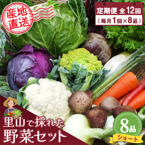 年間定期便12回 里山で採れた野菜セットショート 8品 【有機野菜 おまかせ野菜セット イタリア野菜 西洋野菜 定期便】(H078137) 149252 - 佐賀県神埼市