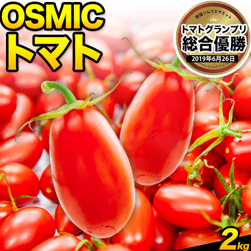 トマト とまと 高糖度トマト OSMICトマト 2kg 甘い トマト フルーツトマト ミニトマト 野菜 フルーツ ハウス フルーツ感覚 甘い おいしい
 1492579 - 岡山県笠岡市