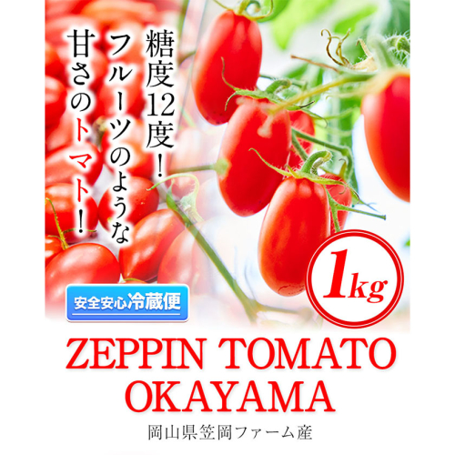 ZEPPIN TOMATO Okayama 1kg箱 (ZEPPIN EX) 平均糖度12度 甘い フルーツトマト 1492581 - 岡山県笠岡市