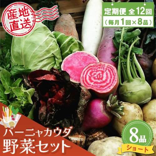 年間定期便12回 バーニャカウダ野菜セットショート 8品 【有機野菜 おまかせ野菜セット イタリア野菜 西洋野菜 定期便】(H078141) 149264 - 佐賀県神埼市