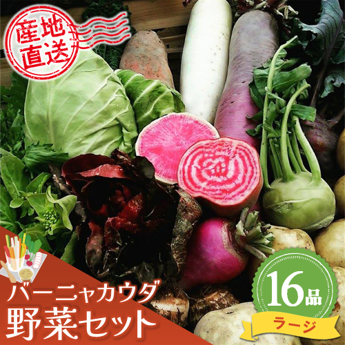 バーニャカウダ野菜セットラージ 16品 【有機野菜 おまかせ野菜セット イタリア野菜 西洋野菜】(H078121) 149271 - 佐賀県神埼市