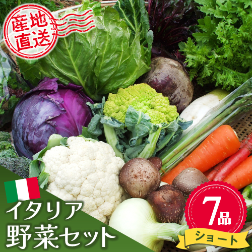 イタリア野菜セットショート 7品 【有機野菜 おまかせ野菜セット イタリア野菜 西洋野菜】(H078145) 149275 - 佐賀県神埼市