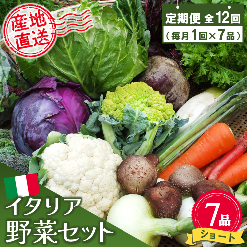 年間定期便12回 イタリア野菜セットショート 7品 【有機野菜 おまかせ野菜セット イタリア野菜 西洋野菜 定期便】(H078146) 149276 - 佐賀県神埼市