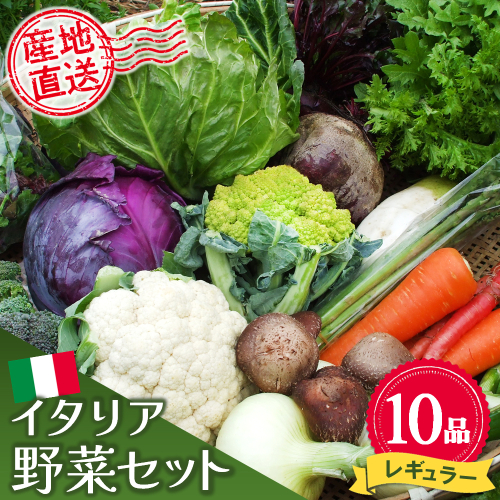 イタリア野菜セットレギュラー 10品 【有機野菜 おまかせ野菜セット イタリア野菜 西洋野菜】(H078148) 149279 - 佐賀県神埼市