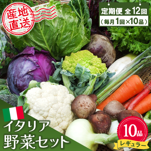 年間定期便12回 イタリア野菜セットレギュラー 10品 【有機野菜 おまかせ野菜セット イタリア野菜 西洋野菜 定期便】(H078149) 149280 - 佐賀県神埼市