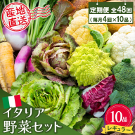 年間定期便48回 イタリア野菜セットレギュラー 10品 【有機野菜 おまかせ野菜セット イタリア野菜 西洋野菜 定期便】(H078151)