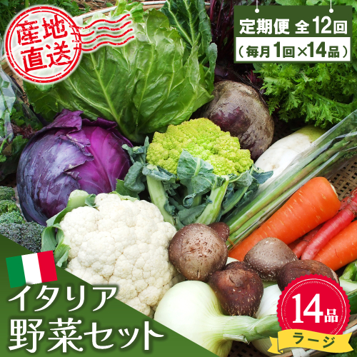 年間定期便12回 イタリア野菜セットラージ 14品 【有機野菜 おまかせ野菜セット イタリア野菜 西洋野菜 定期便】(H078134) 149284 - 佐賀県神埼市