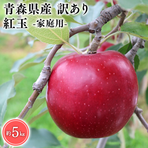 １０月発送　訳あり　家庭用　甚八りんご紅玉５kg　【マルジンサンアップル　10月　青森県産　平川市　りんご　紅玉　5kg　訳あり　家庭用】 1492872 - 青森県平川市