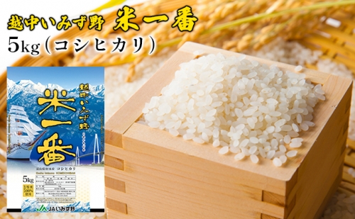 越中いみず野米一番 5kg（コシヒカリ） 149296 - 富山県射水市