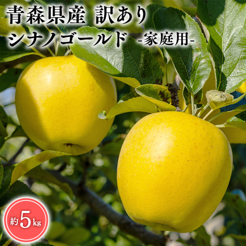 ６月発送　訳あり　家庭用　甚八りんごシナノゴールド5kg　【マルジンサンアップル　6月　青森県産　平川市　りんご　シナノゴールド　5kg　訳あり　家庭用】 1493029 - 青森県平川市