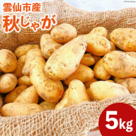 【期間限定発送】 じゃがいも 雲仙市産 秋じゃが 5kg［北串 秋・冬収穫じゃがいも各種］ [トトノウ 長崎県 雲仙市 item1417] ジャガイモ 秋じゃがいも 野菜 5キロ 期間限定 長崎県産