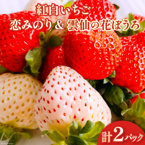 【期間限定発送】 いちご 紅白いちごセット 「恋みのり」 「雲仙の花ぼうろ」 計2パック [トトノウ 長崎県 雲仙市 item1416] 苺 イチゴ 2パック 赤いちご 白いちご フルーツ 果物 くだもの 期間限定 季節限定 セット 食べ比べ 1493083 - 長崎県雲仙市