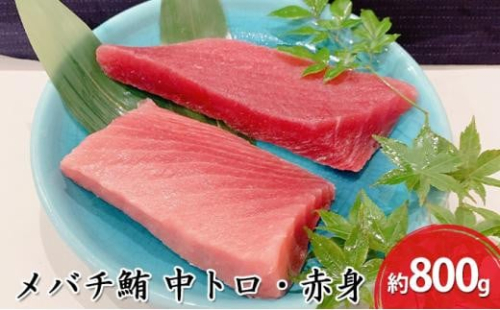 河岸の市 メバチ鮪 中トロ 約200g×2・赤身冊 約200g×2 セット（丸森） 海の幸 【配送不可：離島】 1493147 - 静岡県静岡市