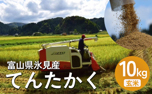 令和6年産 富山県氷見産 てんたかく玄米 10kg 富山県 氷見市 米 てんたかく 1493356 - 富山県氷見市