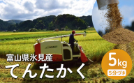 令和6年産 富山県氷見産 てんたかく5分づき 5kg 富山県 氷見市 米 てんたかく