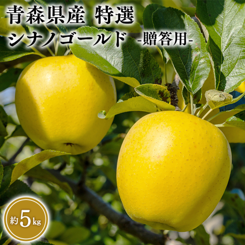 ６月発送　特選　甚八りんごシナノゴールド５kg　【マルジンサンアップル　6月　青森県産　平川市　りんご　シナノゴールド　5kg　特選　贈答用】 1493364 - 青森県平川市