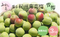 ふわっと香る紀州南高梅 青梅3kg ※2025年6月下旬〜7月上旬頃に順次発送予定[期間限定:2025年5月31日まで] / 和歌山 田辺市 紀州南高梅 南高梅 梅干し 梅干 梅 うめ 青梅 梅シロップ 梅酒 [nok001]