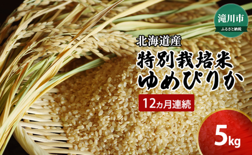 令和6年産米 北海道 滝川産 特別栽培玄米ゆめぴりか 5kg 12ヵ月連続｜北海道 滝川市 特別栽培 特別栽培米 お米 米 ご飯 玄米 ゆめぴりか ユメピリカ 定期便 連続お届け 1493959 - 北海道滝川市