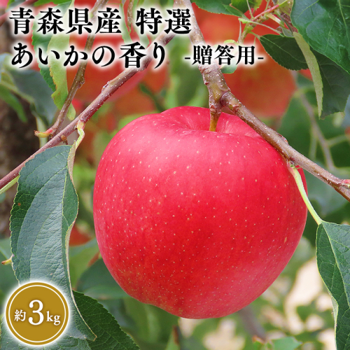 １１～１２月発送　特選　甚八りんごあいかの香り３kg　【マルジンサンアップル　11月　12月　青森県産　平川市　りんご　あいかの香り　3kg　特選　贈答用】 1493996 - 青森県平川市