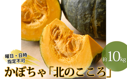 北海道月形町産のかぼちゃ「北のこころ」約10kg 1箱 149414 - 北海道月形町