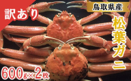 鳥取県産 訳あり蒸し松葉ガニ 600g以上2枚