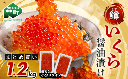 100gの小分けが便利 いくら 醤油漬け 100g×12パック （鱒卵） いくら イクラ 小分け 醤油漬け 鱒卵 森町 いくら醤油漬け しょうゆ漬け 海産物 加工品 ふるさと納税 北海道 ＜ワイエスフーズ＞ mr1-1283 1494355 - 北海道森町