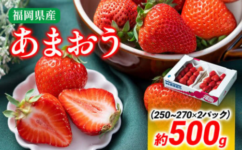 【冬】あまおう 約500g いちご 苺 果物 フルーツ 冷蔵 送料無料 ※北海道・沖縄・離島は配送不可 大木町産 南国フルーツ CO001 1494357 - 福岡県大木町