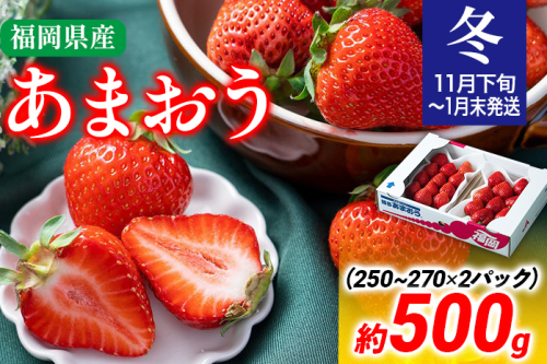 【冬】あまおう 約500g いちご 苺 果物 フルーツ 冷蔵 送料無料 ※北海道・沖縄・離島は配送不可 大木町産 南国フルーツ CO001 1494357 - 福岡県大木町