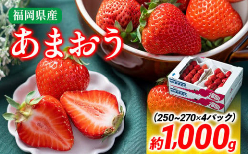 【冬】あまおう 約1000g いちご 苺 フルーツ 九州産 冷蔵 送料無料 イチゴ 果物 ※北海道・沖縄・離島は配送不可 大木町産 南国フルーツ CO002 1494359 - 福岡県大木町