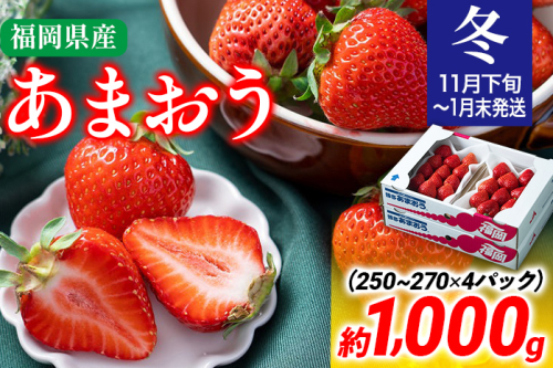 【冬】あまおう 約1000g いちご 苺 フルーツ 九州産 冷蔵 送料無料 イチゴ 果物 ※北海道・沖縄・離島は配送不可 大木町産 南国フルーツ CO002 1494359 - 福岡県大木町