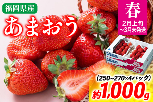 【春】あまおう 約1000g いちご 苺 果物 冷蔵 送料無料 イチゴ ※北海道・沖縄・離島は配送不可 大木町産 南国フルーツ CO003 1494361 - 福岡県大木町