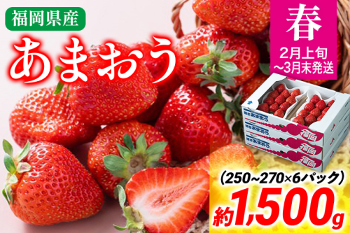 【春】あまおう 約1500g いちご 苺 果物 冷蔵 送料無料 イチゴ ※北海道・沖縄・離島は配送不可 大木町産 南国フルーツ CO004 1494362 - 福岡県大木町