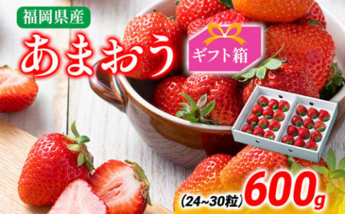 あまおう ギフト箱 約600g 苺 果物 フルーツ 冷蔵 箱入り ギフト 贈り物 送料無料 ※北海道・沖縄・離島は配送不可 大木町産 南国フルーツ CO006 1494434 - 福岡県大木町